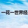 一花一世界经典语录（一花一世界完整句子）