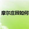 摩尔庄园如何挣很多钱（摩尔庄园怎么赚钱）