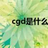 cgd是什么文件格式（ctg是什么格式）