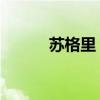 苏格里 维西乔（苏格里维西乔）