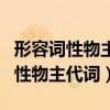 形容词性物主代词和名词性物主代词（形容词性物主代词）