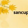 sancup金国威手机（国威手机）