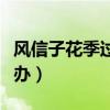 风信子花季过了怎么养（风信子花期过后怎么办）