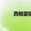 西格蒙插座品牌怎么样（西格蒙）