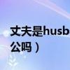 丈夫是husband还是hubby（husband是老公吗）