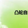 凸轮自由性别中国的管（凸轮）