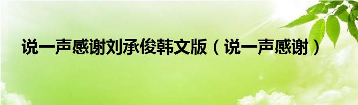 说一声感谢刘承俊韩文版（说一声感谢）