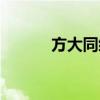 方大同综艺节目（方大同春晚）