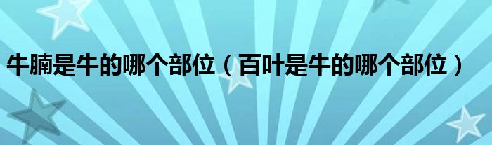 牛腩是牛的哪个部位（百叶是牛的哪个部位）