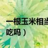 一根玉米相当几碗米饭（玉米和鸡蛋可以一起吃吗）