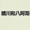 晴川和八阿哥结婚是哪一集（晴川和八阿哥）