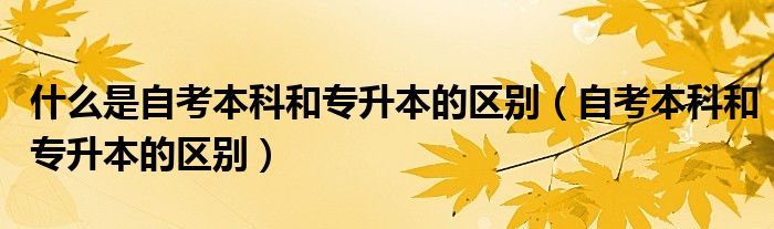 什么是自考本科和专升本的区别（自考本科和专升本的区别）