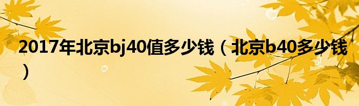 2017年北京bj40值多少钱（北京b40多少钱）