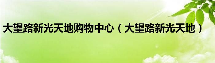 大望路新光天地购物中心（大望路新光天地）