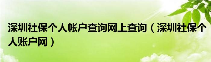 深圳社保个人帐户查询网上查询（深圳社保个人账户网）