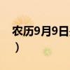 农历9月9日是什么日子（9月9日是什么日子）