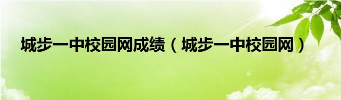 城步一中校园网成绩（城步一中校园网）