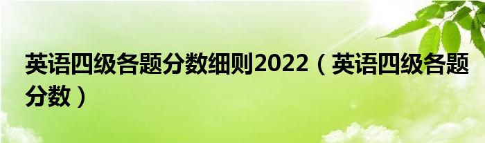 英语四级各题分数细则2022（英语四级各题分数）