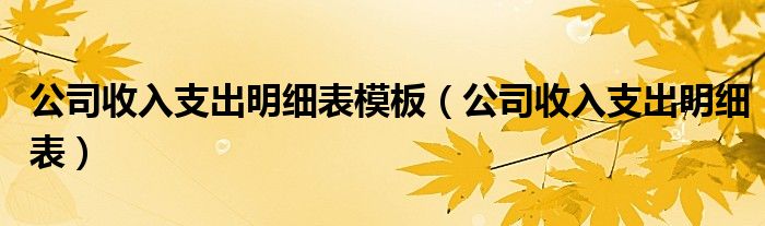 公司收入支出明细表模板（公司收入支出明细表）