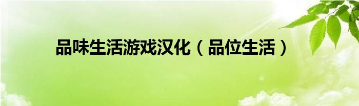 品味生活游戏汉化（品位生活）