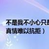 不是我不小心只是真情难以抗拒这首歌（不是我不小心只是真情难以抗拒）