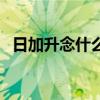 日加升念什么字怎么读音（日加升念什么）