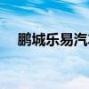 鹏城乐易汽车电子商务（汽车电子商务）