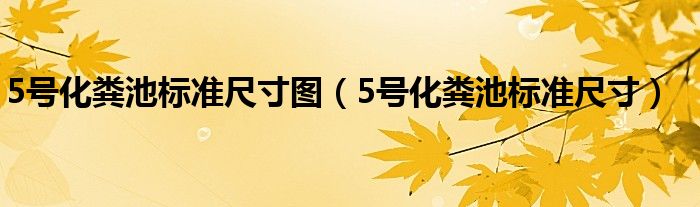 5号化粪池标准尺寸图（5号化粪池标准尺寸）