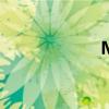 Mj生日（MJ生日）