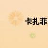 卡扎菲个人简历（卡扎菲简介）