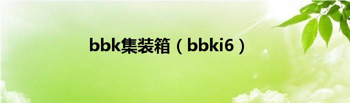 bbk集装箱（bbki6）