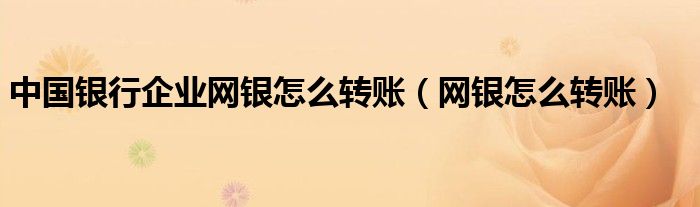 中国银行企业网银怎么转账（网银怎么转账）