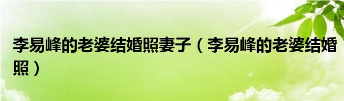 李易峰的老婆结婚照妻子（李易峰的老婆结婚照）