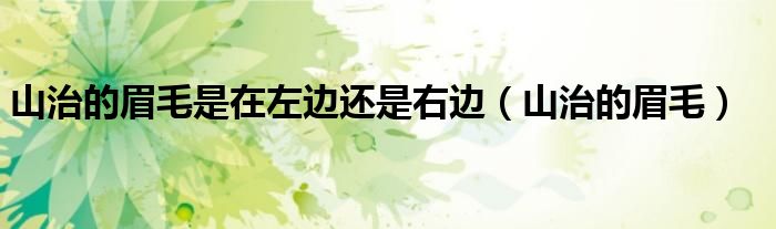 山治的眉毛是在左边还是右边（山治的眉毛）