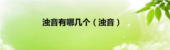 浊音有哪几个（浊音）