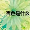 杏色是什么颜色求图（杏色是什么颜色）