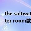 the saltwater room歌词含义（the saltwater room歌词）