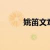 姚笛文章 电视剧（文章 电视剧）