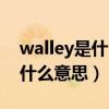 walley是什么意思中文翻译（walleyeknee什么意思）