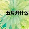 五月开什么花开花季节（五月开什么花）