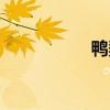 鸭梨大歌词（鸭梨大）