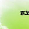 霸龙507图片（霸龙507）