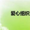 爱心组织活动的主持词（爱心组织）
