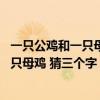 一只公鸡和一只母鸡 猜三个字代表什么生肖（一只公鸡和一只母鸡 猜三个字）