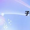 子龙不可重用（子龙）