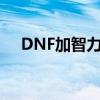 DNF加智力的宝珠（dnf加智力的宝珠）