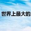 世界上最大的人屎图片（世界上最大的人屎）
