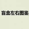 盲盒左右图鉴是什么意思（图鉴是什么意思）
