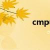 cmpunk图片（cm punk）