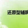 还原型辅酶1的化学式（还原性辅酶1）